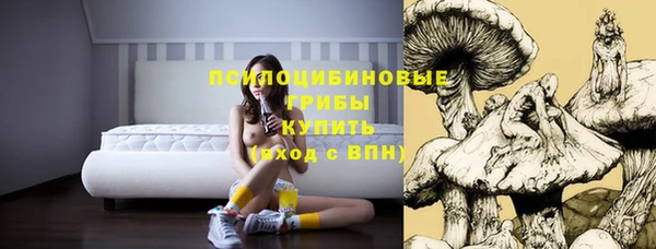 jwh Белокуриха