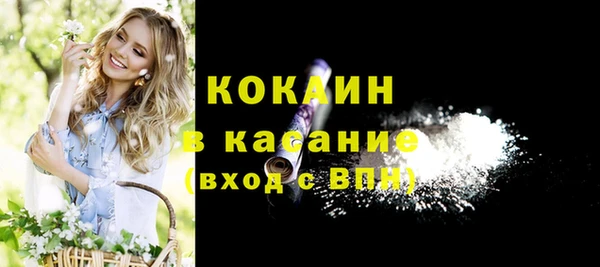 шишки Белоозёрский
