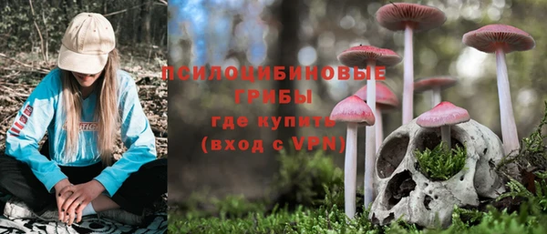 шишки Белоозёрский