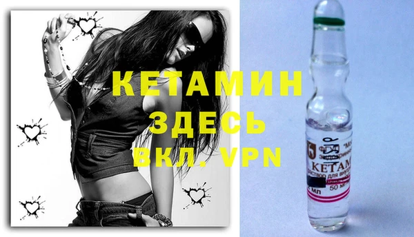 шишки Белоозёрский